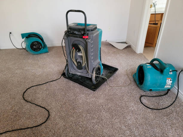 Best Mold removal after water damage  in Yardville, NJ