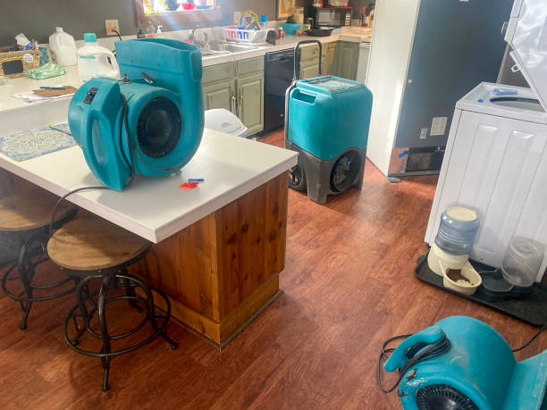 Best Ceiling water damage repair  in Yardville, NJ