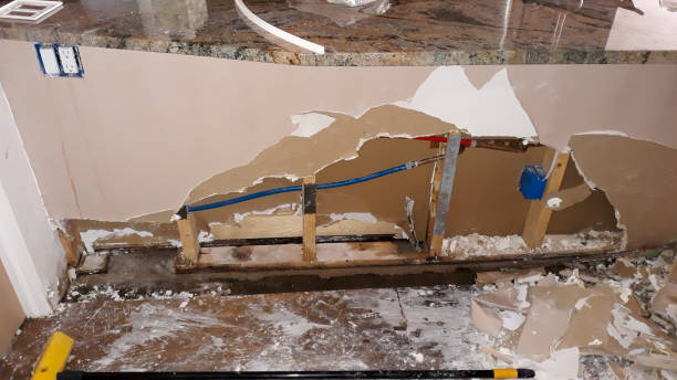 Best Mold removal after water damage  in Yardville, NJ