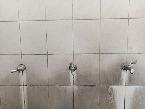 Best Water damage restoration near me  in Yardville, NJ
